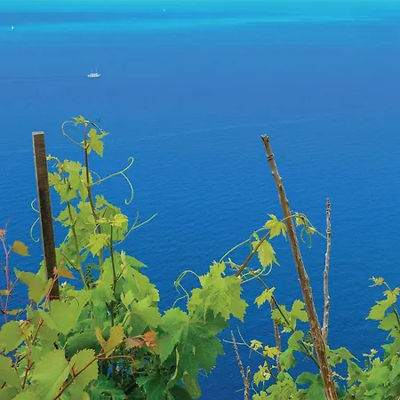 Amazing In With Wifi Apartment Orebic